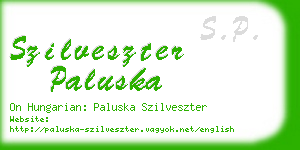 szilveszter paluska business card